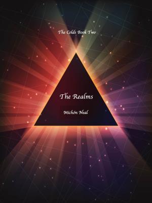 Cover of the book The Realms by Shaye Marlow
