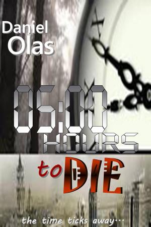 Cover of the book Five Hours to Die by Donna Fair Conn