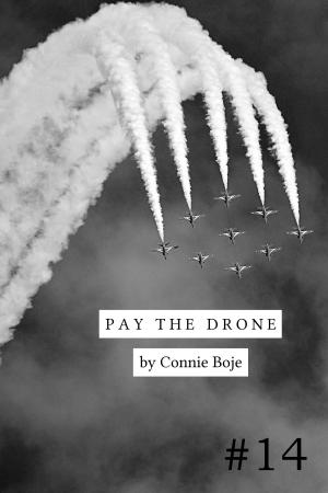 Book cover of Pay the Drone