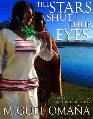 Book cover of Till Stars Shut Their Eyes