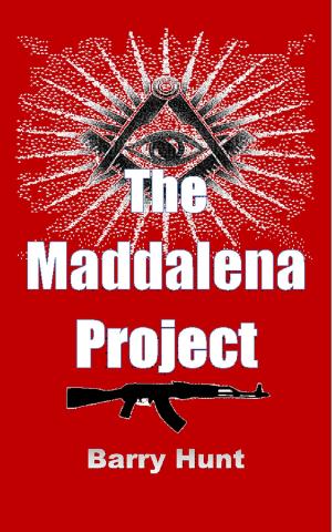 Cover of the book The Maddalena Project by Frank H Jordan
