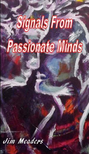 Cover of the book Signals from Passionate Minds by Cynthia Sisco
