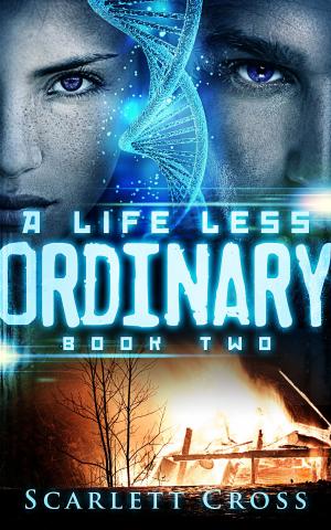 Cover of the book A Life Less Ordinary: Book Two by S.M. Nevermore