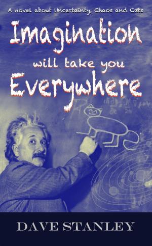 Cover of the book Imagination Will Take You Everywhere: a Novel about Uncertainty, Chaos and Cats by Joe Rover