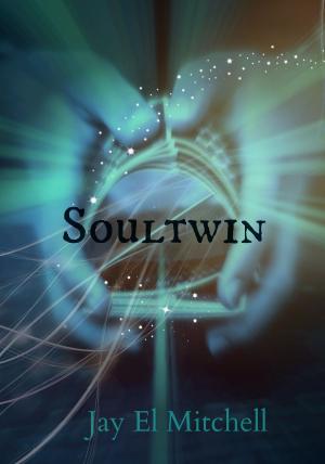 Book cover of Soultwin