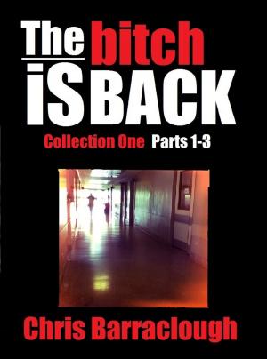 Cover of The Bitch is Back Collection One (Parts 1-3) (The Bitch Is Back British Crime Thrillers Boxset)