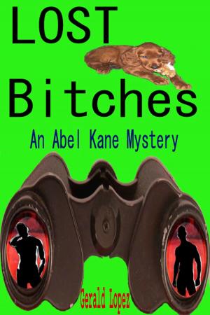 Book cover of Lost Bitches (an Abel Kane Mystery)
