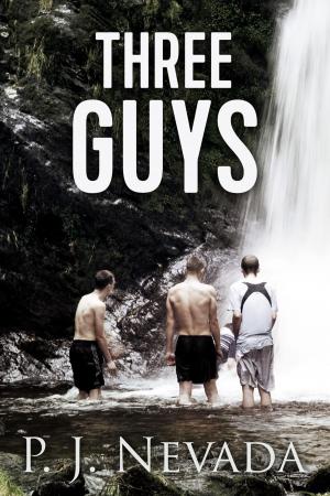 Cover of the book Three Guys by Stephanie A. Cain