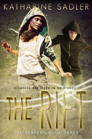 Book cover of The Rift
