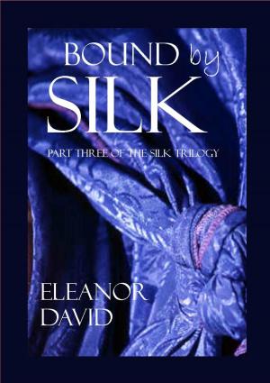 Cover of the book Bound by Silk by Susan Sleeman