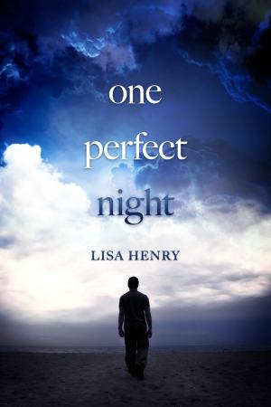 Cover of One Perfect Night
