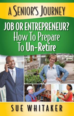 Book cover of A Senior's Journey: Job or Entrepreneur? How to Prepare to Un-Retire