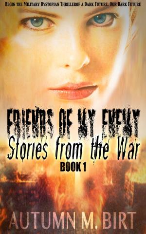 Cover of the book Stories from the War: Military Dystopian Thriller by Autumn Raven, Adam Raven