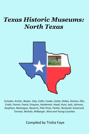 Book cover of Texas Historic Museums: North Texas