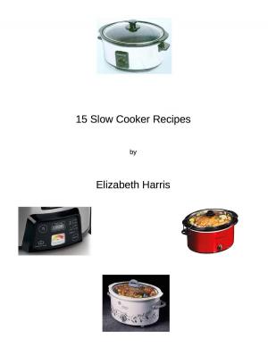 bigCover of the book 15 Slow Cooker Recipes by 