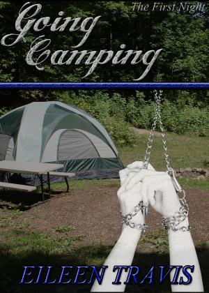 Cover of the book Going Camping by Jacqueline M. Sinclair