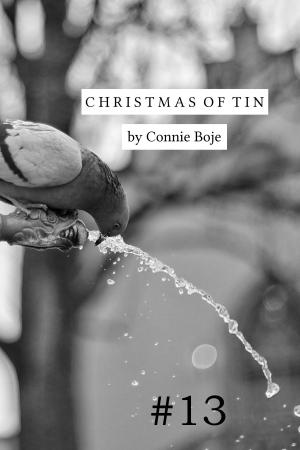 Cover of the book Christmas of Tin by Jodi Picoult, Samantha van Leer