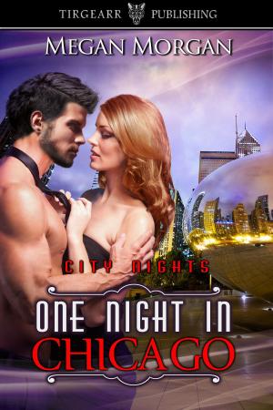 Cover of the book One Night in Chicago by Steven J Pemberton