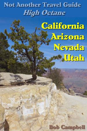 Cover of the book Not Another Travel Guide: High Octane: California - Nevada - Utah - Arizona by Bob Campbell