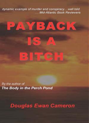 Cover of the book Payback is a Bitch by John L. Flynn