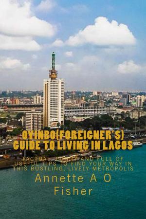 Cover of Oyinbo(Foreigner's) Guide to Living in Lagos