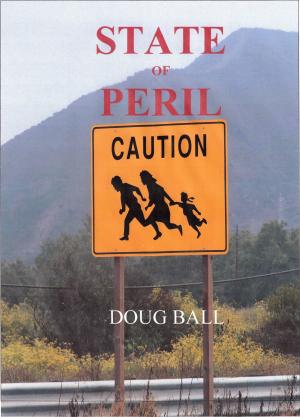 bigCover of the book State of Peril by 