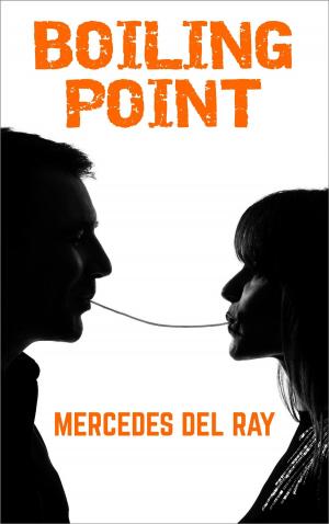 Cover of the book Boiling Point by Mr Big