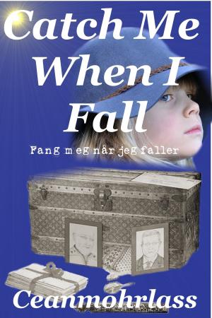Cover of the book Catch Me When I Fall by Carole Howard