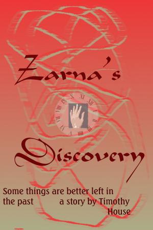 Cover of the book Zarna's Discovery by S.E. Page
