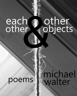 Book cover of Each Other and Other Objects