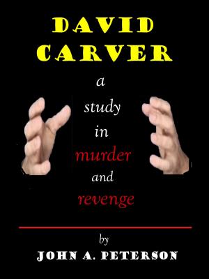Cover of the book David Carver by Jim McDonald