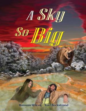 Book cover of A Sky So Big