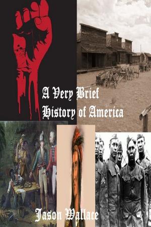 Book cover of A Very Brief History of America
