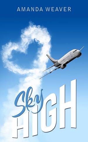 Book cover of Sky High