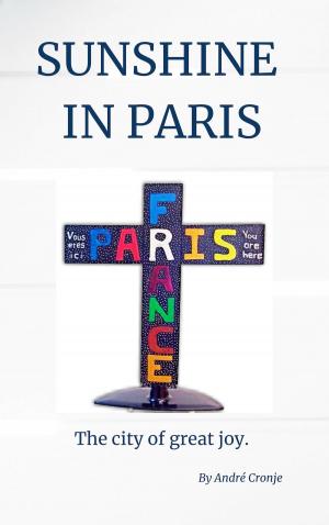 Cover of the book Sunshine in Paris by Bill Giovannetti