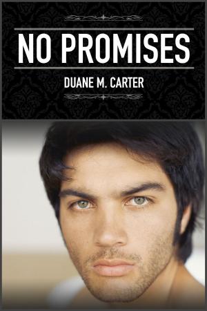 Cover of the book No Promises by Gary Rostock