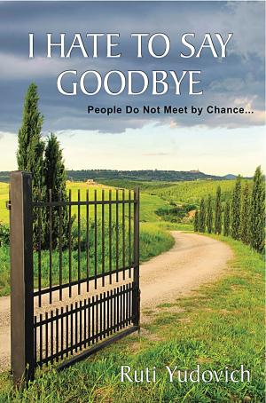 Book cover of I Hate to Say Goodbye, People do not meet by chance...