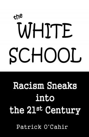 Book cover of The White School