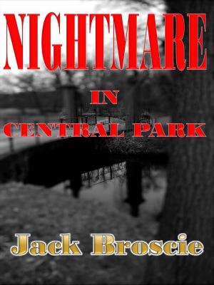 Book cover of Nightmare in Central Park