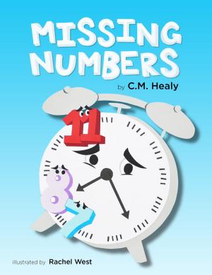 Cover of the book Missing Numbers by Roshan Vinayan