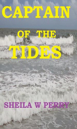 Cover of the book Captain of the Tides by Saga Zuster