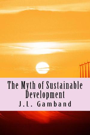 Cover of the book The Myth of Sustainable Development by Michael O'Neill