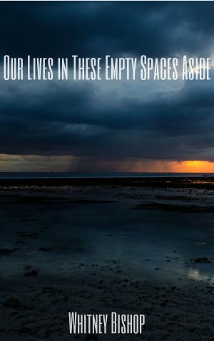 Cover of Our Lives in These Empty Spaces Aside