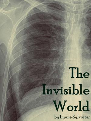 Cover of the book The Invisible World by J. S. Volpe