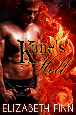Cover of the book Kane's Hell by Ann London Fish, Pixelise illustration
