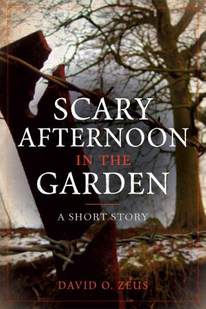 Book cover of Scary Afternoon in the Garden