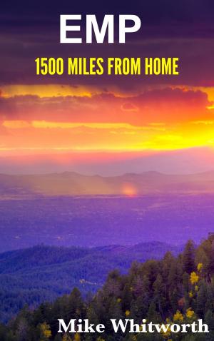 Cover of the book EMP 1500 Miles From Home by Roy E. Bean Jr
