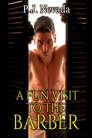 Cover of the book A Fun Visit to the Barber by P.J. Nevada