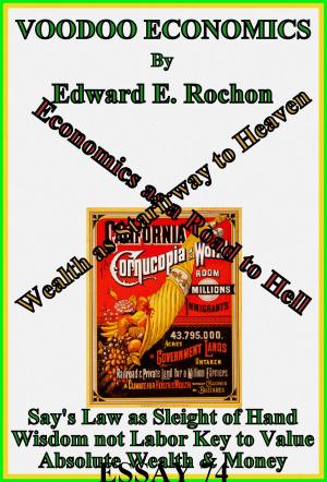 Cover of the book Voodoo Economics by Edward E. Rochon