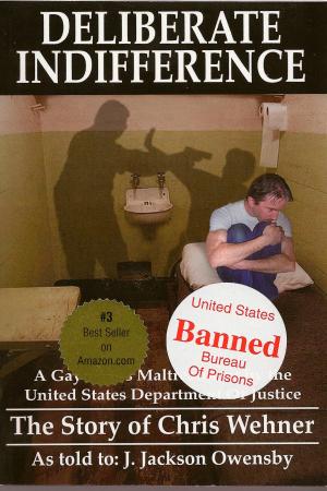 Cover of the book Deliberate Indifference: A Gay Man's Maltreatment by the United States Department of Justice by J.D. Tynan